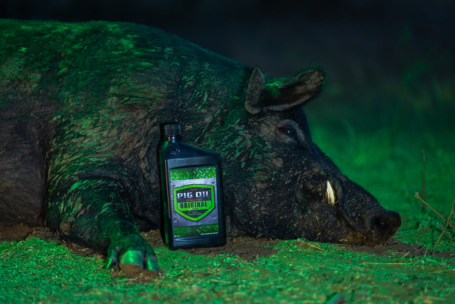 PIG OIL Original - 1 Quart