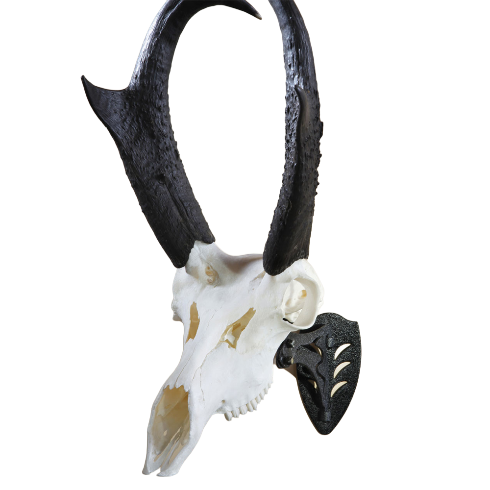 SKULL HOOKER, The Little Hooker