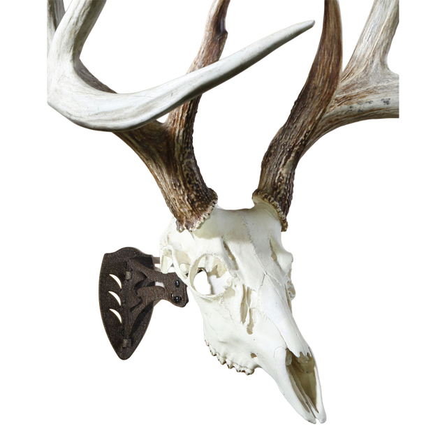 SKULL HOOKER, The Little Hooker