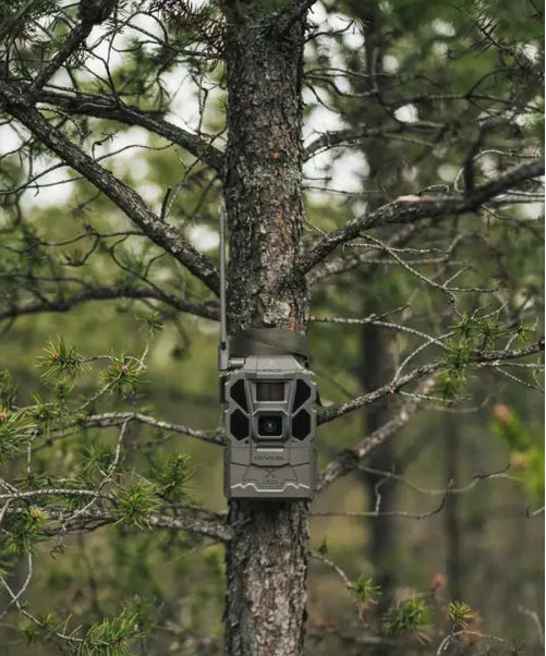 TACTACAM Reveal X 3.0 (ATT & Verizon) 2024 Model