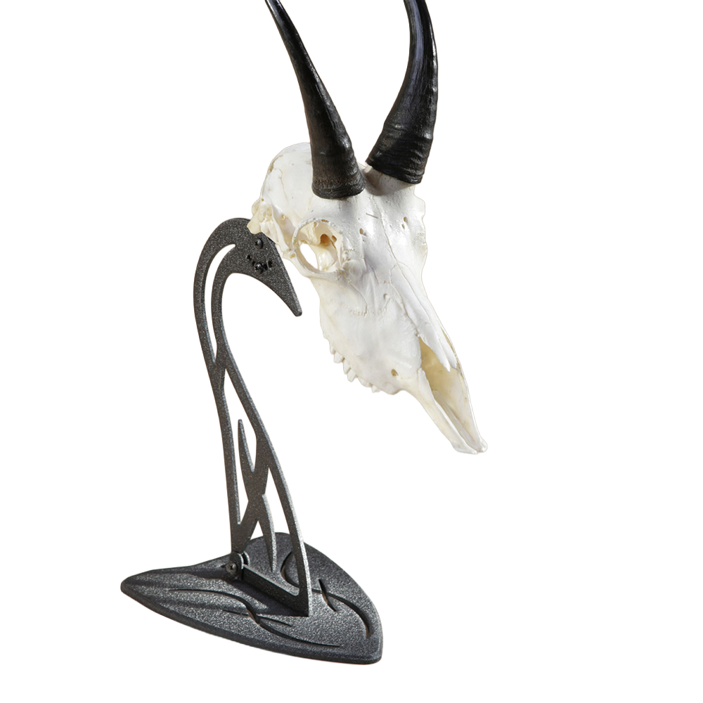 SKULL HOOKER, Table Hooker