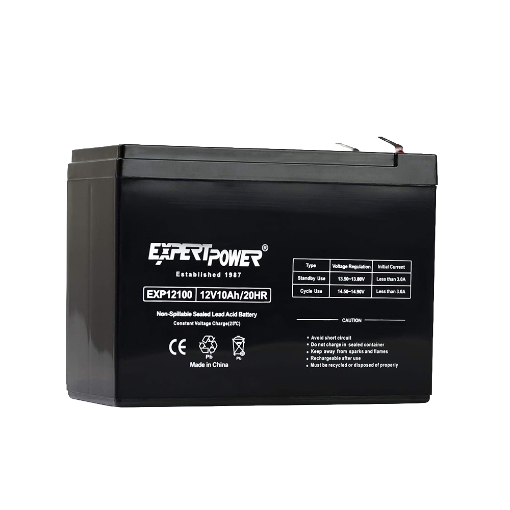 12 Volt, 10 amp Rechargeable Battery