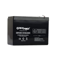 12 Volt, 10 amp Rechargeable Battery