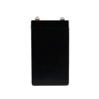 12 Volt, 10 amp Rechargeable Battery