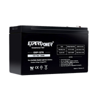 12 Volt, 8 amp Rechargeable Battery