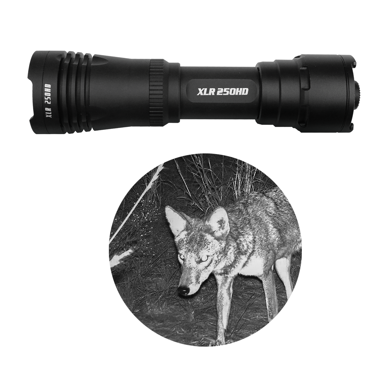 Kill Light® 250HD Zoom Focus Hunting Flashlight