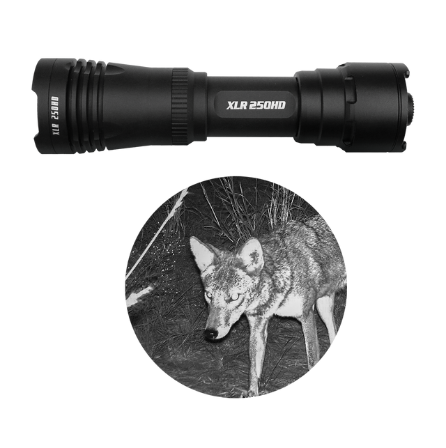 Kill Light® 250HD Zoom Focus Hunting Flashlight | Adjustable Beam LED Light for Hog, Coyote & Predator Hunting