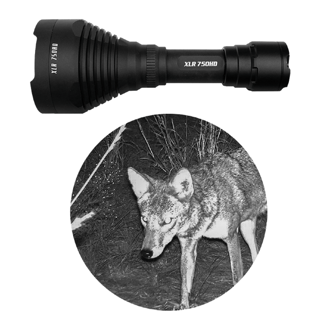 750HD inset with coyote in night vision
