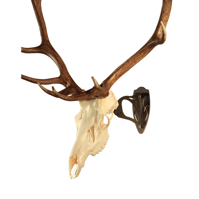 SKULL HOOKER, The Big Hooker