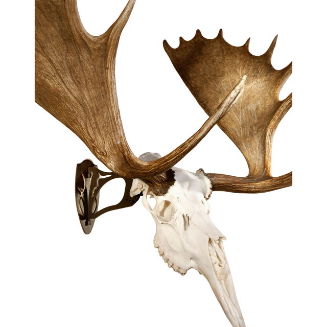 SKULL HOOKER, The Big Hooker