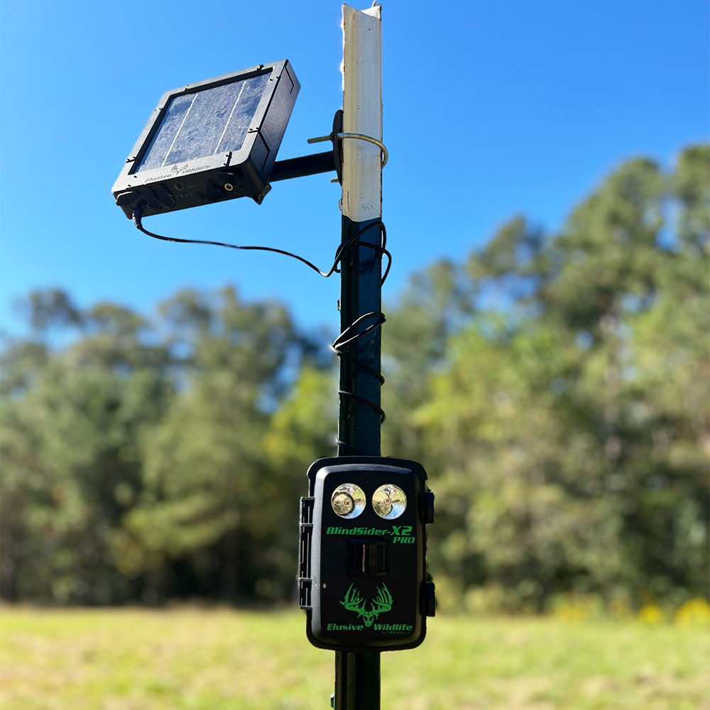 BLIND SIDER-X2 PRO 3-Color Motion Activated Feeder Light