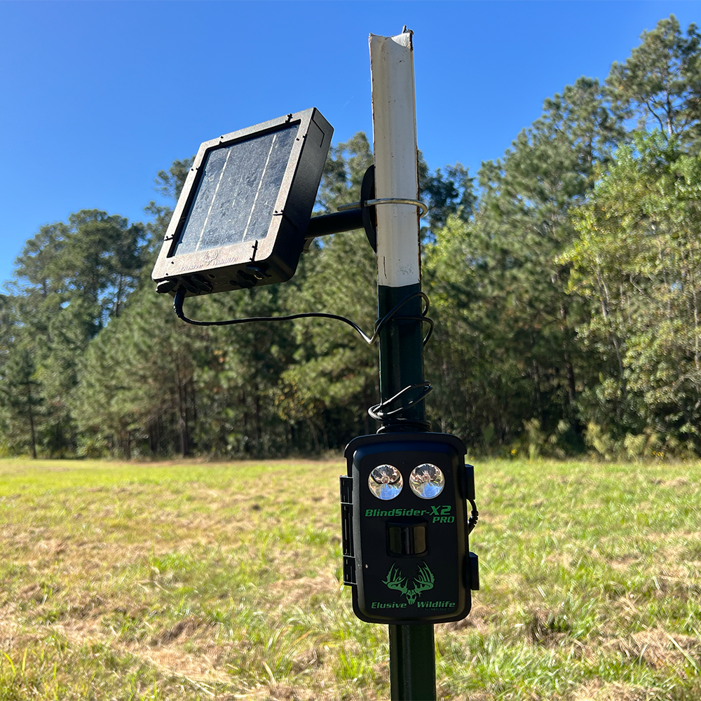 BLIND SIDER-X2 PRO 3-Color Motion Activated Feeder Light