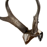 SKULL HOOKER, Skull Cap