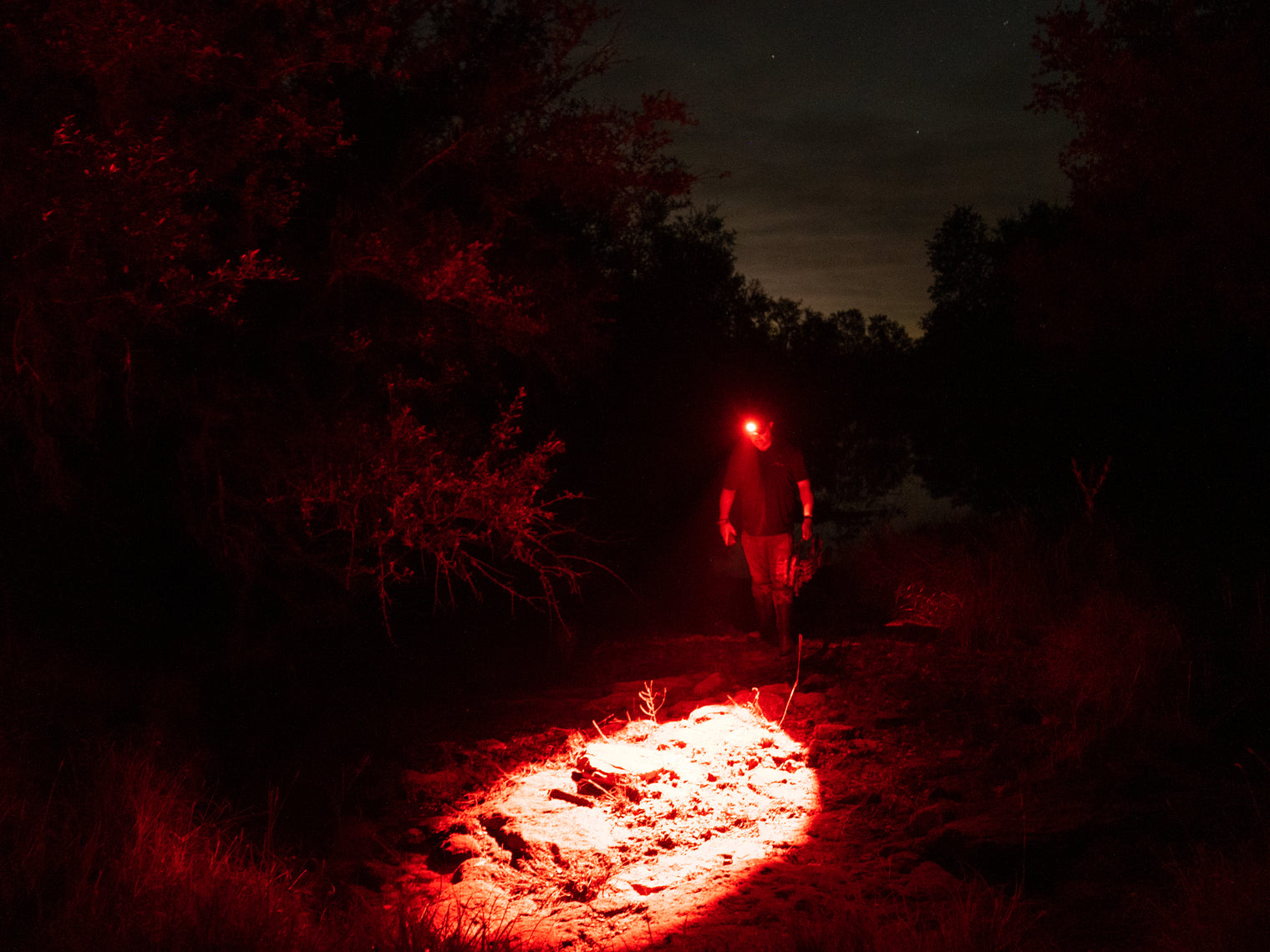 Elusive Wildlife 3 Color Pro Headlamp Kit with Adjustable Beam for Hunting, Hiking and Camping-Dimmable, Zoomable led headlamp with Over 200 Yards Distance High Power headlamps for Hunters