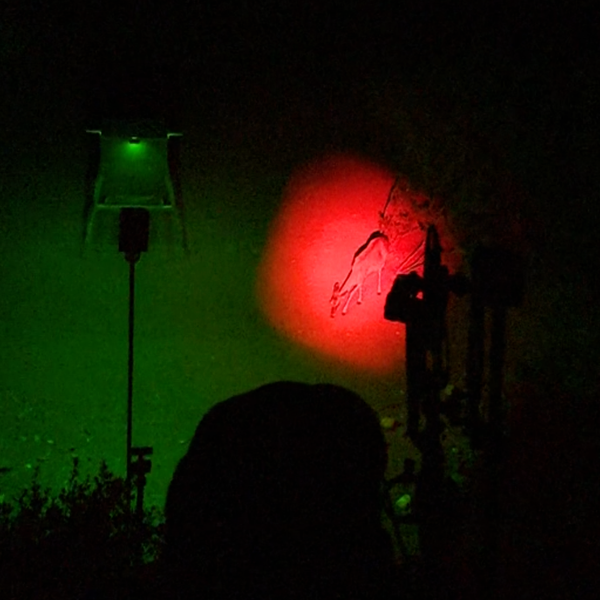 Piglet HD Bow Light Package -PRO