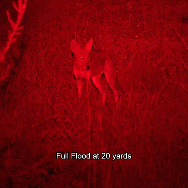 Piglet HD PRO Light Package