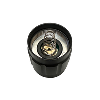 Piglet Push Button Tail Cap