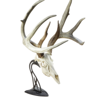 SKULL HOOKER, Table Hooker