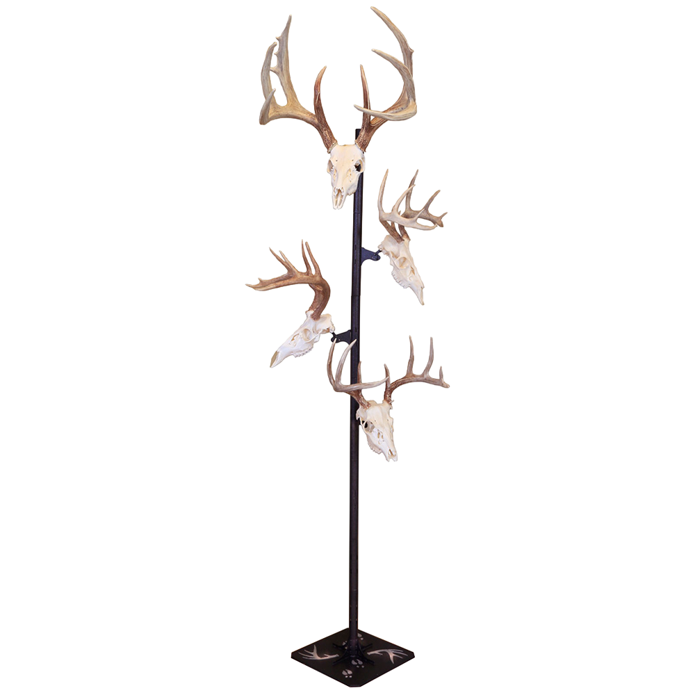 SKULL HOOKER, Trophy Tree – Elusive Wildlife