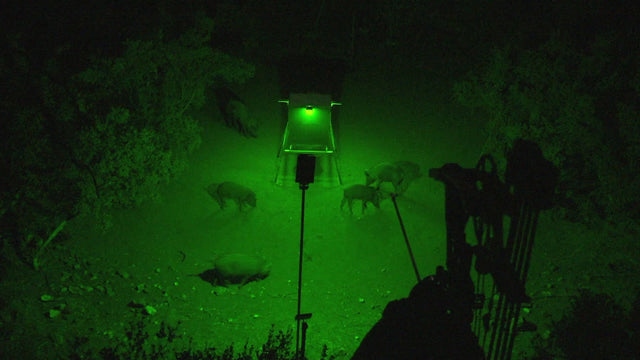 Kill Light OUTFITTER-R Remote Controlled, Solar Powered Motion Activated Feeder Light