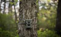 Spypoint Flex-M Trail Camera
